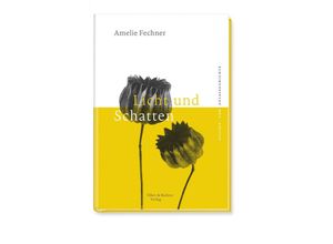 9783831907090 - Licht und Schatten - Amelie Fechner Gebunden