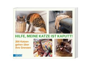 9783832169350 - Hilfe meine Katze ist kaputt Kartoniert (TB)