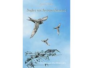 9783833457715 - Segler am Sommerhimmel - Stefan Bosch Kartoniert (TB)