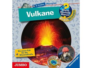 9783833739873 - Wieso? Weshalb? Warum? - Profiwissen - 25 - Vulkane - Stefan Greschick (Hörbuch)