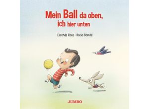 9783833743320 - Mein Ball da oben ich hier unten - Elisenda Roca Taschenbuch