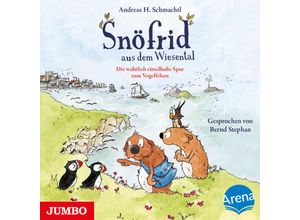 9783833746529 - Snöfrid aus dem Wiesental Die wahrlich rätselhafte Spur zum VogelfelsenAudio-CD - Andreas H Schmachtl (Hörbuch)