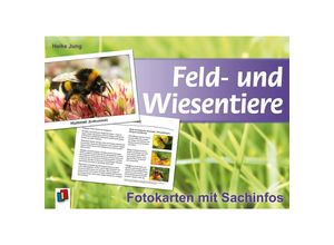 9783834604330 - Feld- und Wiesentiere - Heike Jung Box