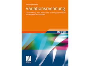 9783834809650 - Variationsrechnung - Hansjörg Kielhöfer Kartoniert (TB)