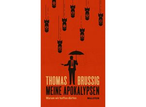 9783835330306 - Meine Apokalypsen - Thomas Brussig Gebunden