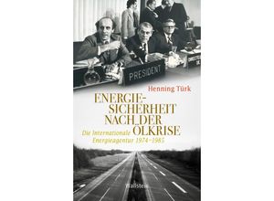 9783835354845 - Energiesicherheit nach der Ölkrise - Henning Türk Gebunden