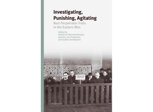 9783835354906 - Investigating Punishing Agitating Gebunden