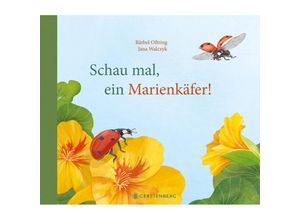 9783836956598 - Schau mal ein Marienkäfer! - Bärbel Oftring Gebunden