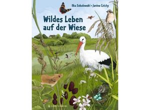 9783836961257 - Wildes Leben auf der Wiese - Ilka Sokolowski Gebunden