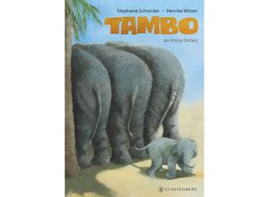 9783836962216 - Tambo der kleine Elefant - Stephanie Schneider Gebunden