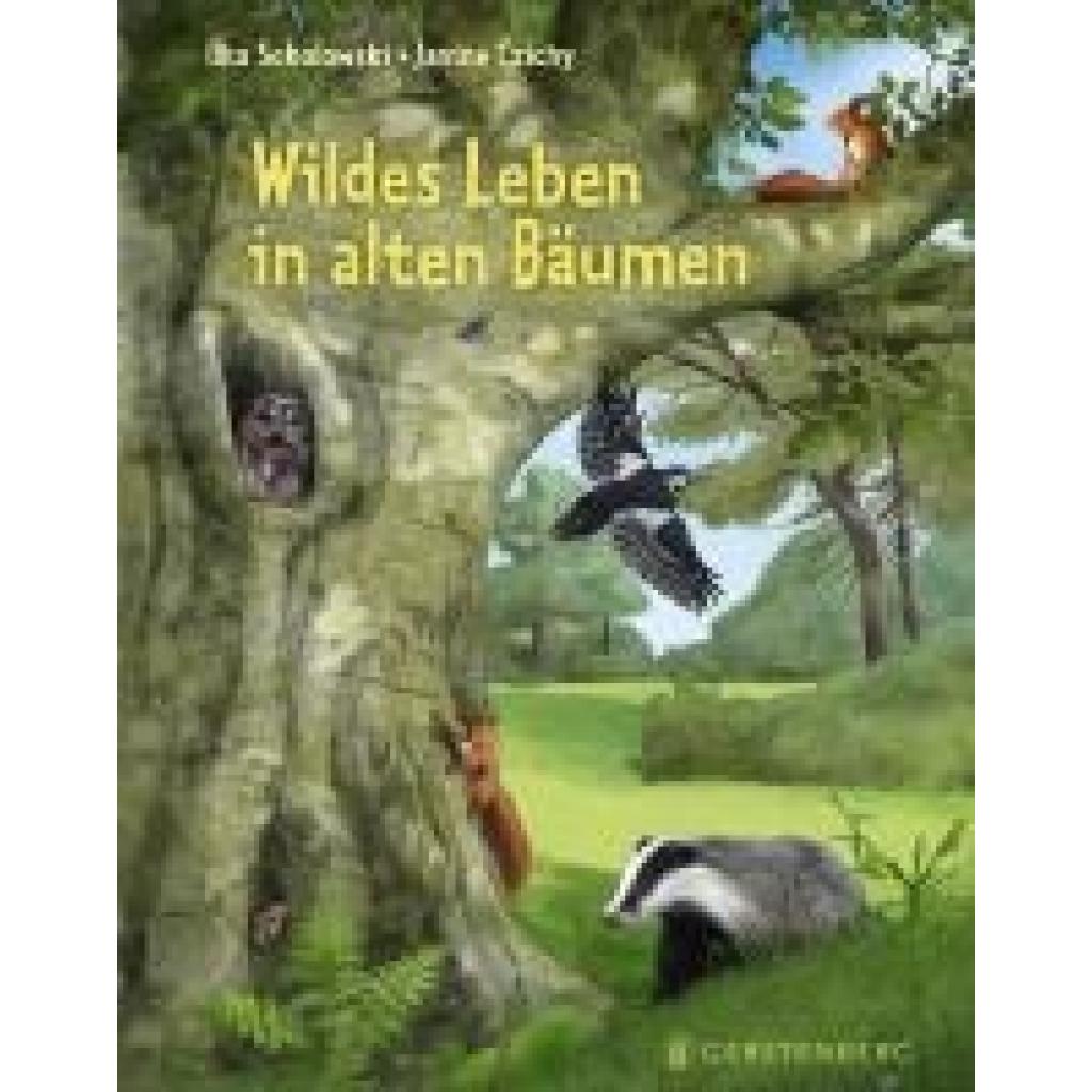 9783836962230 - Sokolowski Ilka Wildes Leben in alten Bäumen