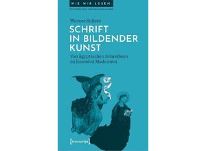 9783837652987 - Schrift in bildender Kunst - Werner Sollors Kartoniert (TB)