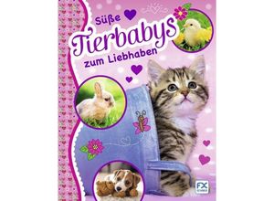 9783838020624 - Süße Tierbabys zum Liebhaben Gebunden