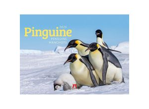 9783838425894 - Pinguine Kalender 2025