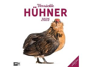 9783838445199 - Verrückte Hühner Kalender 2025 - 30x30