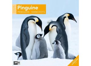 9783838445250 - Pinguine Kalender 2025 - 30x30