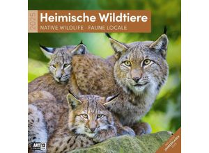 9783838445267 - Heimische Wildtiere Kalender 2025 - 30x30