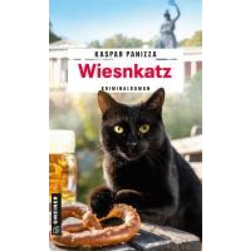 9783839207420 - Panizza Kaspar Wiesnkatz