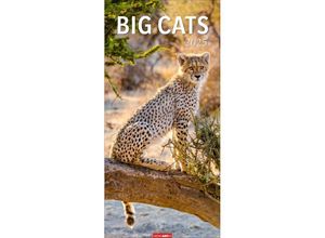 9783839900239 - Big Cats Kalender 2025