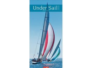 9783839900253 - Under Sail Kalender 2025