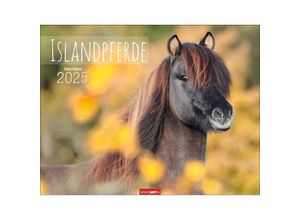 9783839900406 - Islandpferde Kalender 2025