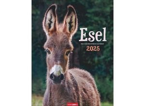 9783839900451 - Esel Kalender 2025