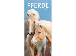 9783839900574 - Pferde Kalender 2025