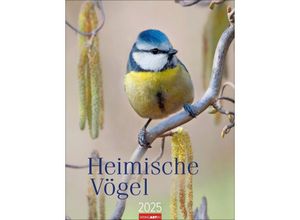 9783839900710 - Heimische Vögel Kalender 2025