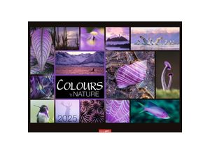 9783839900888 - Colours of Nature Kalender 2025