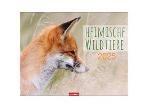 9783839901144 - Heimische Wildtiere Kalender 2025