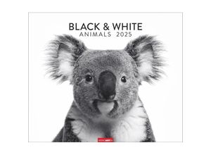 9783839901328 - Black & White Animals 2025