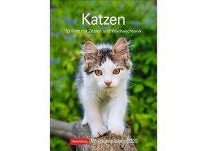 9783840033995 - Katzen Wochenplaner 2025 - 53 Blatt mit Zitaten und Wochenchronik