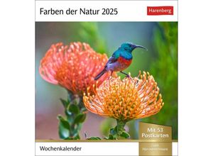 9783840034268 - Bildkalender 3309952 Farben der Natur 1 Woche   1 Seite 16x175cm 2025 9783840034268 Harenberg