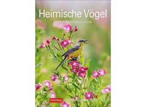 9783840034374 - Heimische Vögel Wochenplaner 2025 - 53 Blatt mit Wochenchronik