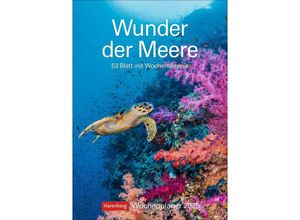 9783840034978 - Wunder der Meere Wochenplaner 2025 - 53 Blatt mit Wochenchronik