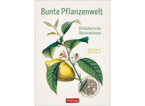 9783840034985 - Bunte Pflanzenwelt Wochenplaner 2025 - 53 historische Illustrationen