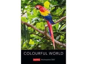 9783840035135 - Colourful World Wochenplaner 2025