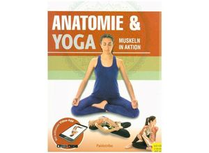 9783840376061 - Anatomie & Yoga m 1 Buch m 1 Beilage   Anatomie & Sport Bd5 Gebunden