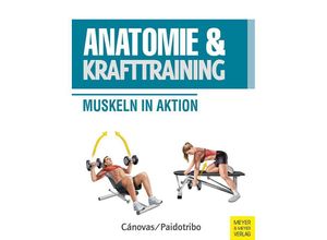 9783840379345 - Anatomie & Krafttraining - Ricardo Cánovas Kartoniert (TB)