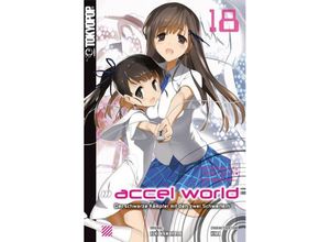 9783842052338 - Accel World   Accel World - Novel Bd18 - HIMA Biipii Reki Kawahara Taschenbuch