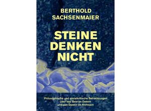 9783842400528 - Steine denken nicht - Berthold Sachsenmaier Kartoniert (TB)