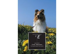 9783842411227 - Curtis Memoiren - Jutta Fürcht Kartoniert (TB)