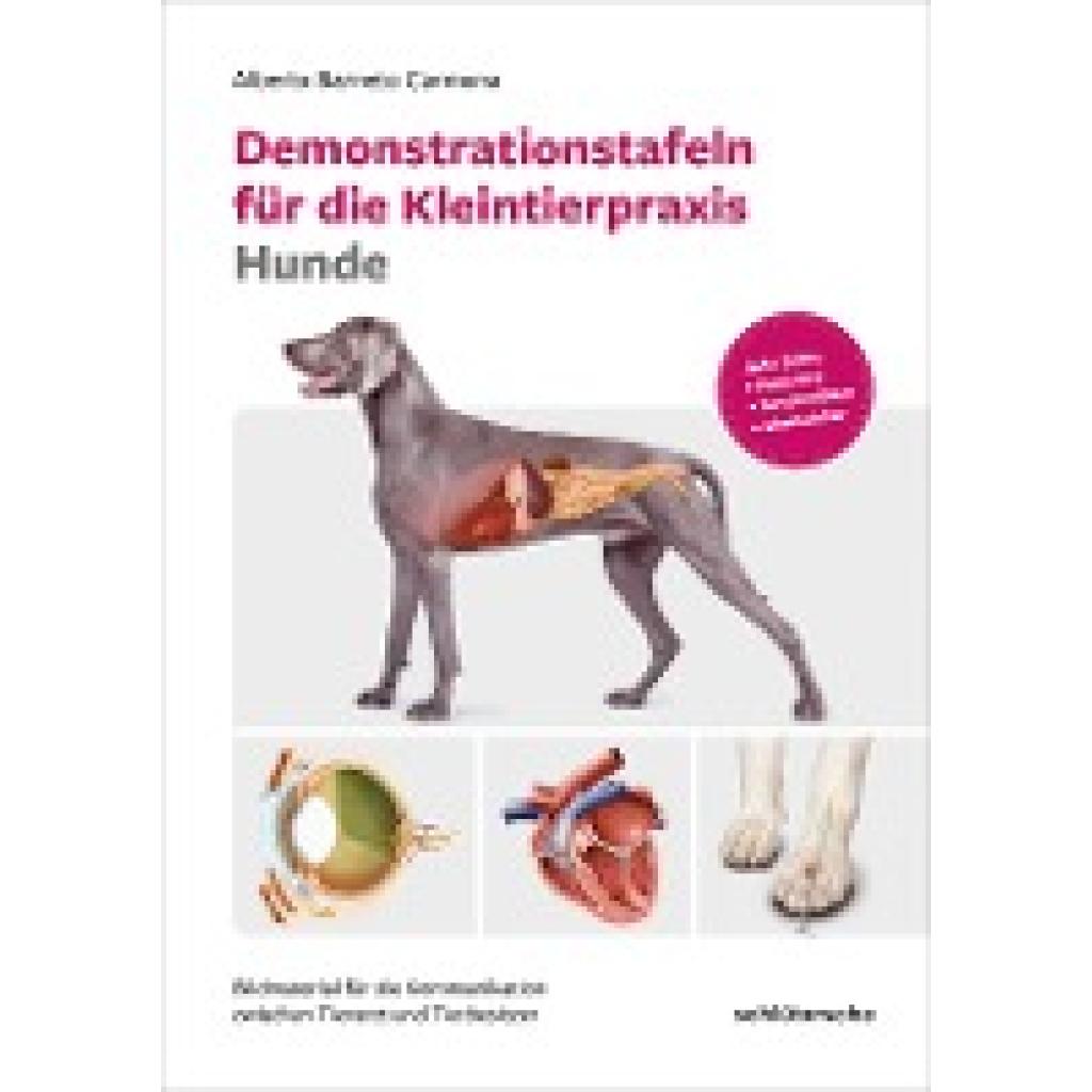 9783842600607 - Berneto Carmona Alberto Demonstrationstafeln für die Kleintierpraxis Hunde