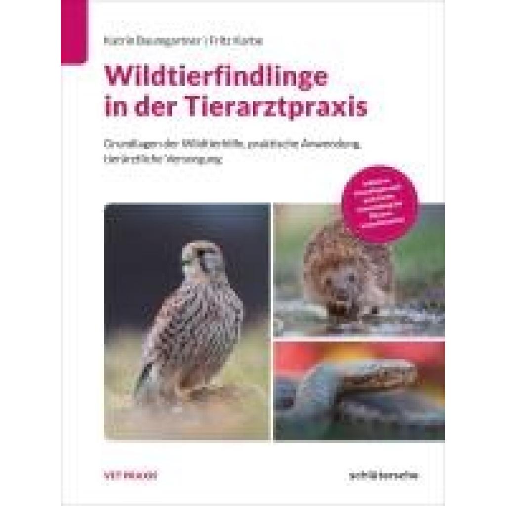 9783842600768 - Baumgartner Katrin Wildtierfindlinge in der Tierarztpraxis