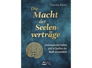 9783843415521 - Die Macht der Seelenverträge - Désirée Baierl Kartoniert (TB)