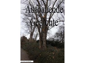 9783844209334 - Aufbauende Gedichte - Sindy Scheftewitz Kartoniert (TB)