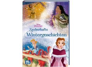 9783845123660 - Disney Prinzessin   Disney Prinzessin Zauberhafte Wintergeschichten Gebunden