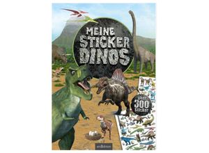 9783845827797 - Mein Stickerbuch   Meine Sticker-Dinos Kartoniert (TB)