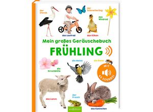 9783845847276 - Mein großes Geräuschebuch - Frühling Pappband