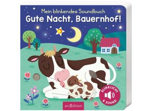 9783845852430 - Mein blinkendes Soundbuch - Gute Nacht Bauernhof! - Maria Höck Pappband